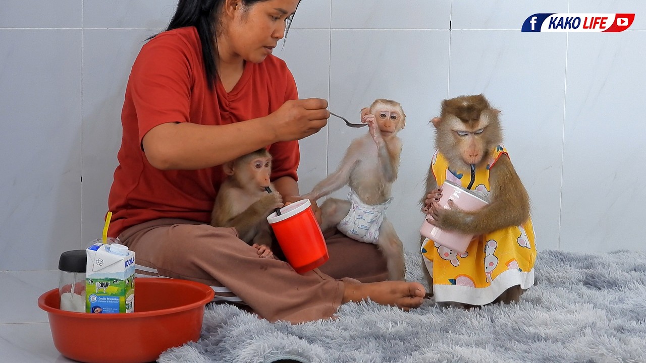 Smart Luka's Family Enjoying Favorite Milk Routine