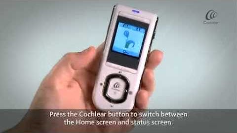 Accessing the Remote Assistant Status Screen (Advanced User Interface)