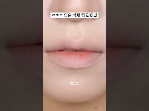 입술 싹 지워주는 립 라이너 추천