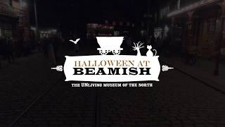 2018 Halloween Evening tickets now on sale!