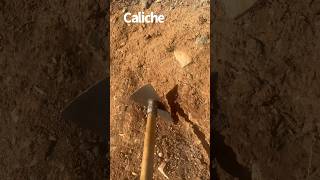 Tips for Finding Gold in the Desert #shorts