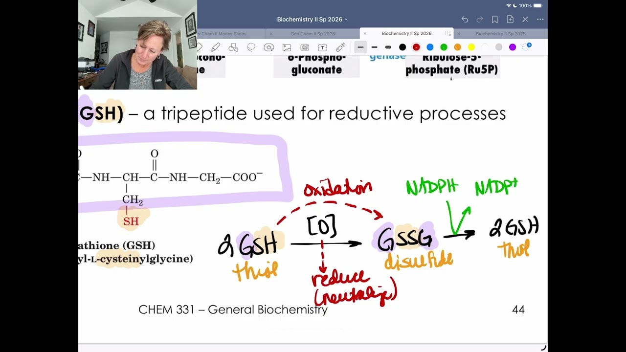 Пентозофосфатный путь, G6PD, глутатион и малярия