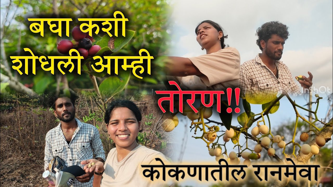 अभी सोबत गेले तोरण काढायला |कोकणचा रानमेवा| #kokanishreya #vshreyavlogs