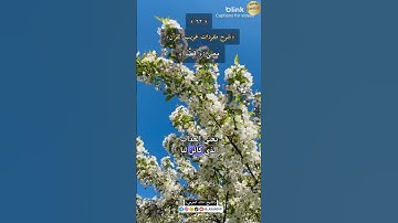 معنى:(قِطَّنَا),٦٢-شرح مفردات غريب القرآن،سورة ص ،الشيخ خالد الحرمي.