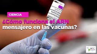 ¿Cómo funciona el ARN mensajero en las vacunas? ¿Cómo funciona el ARN mensajero en las vacunas?