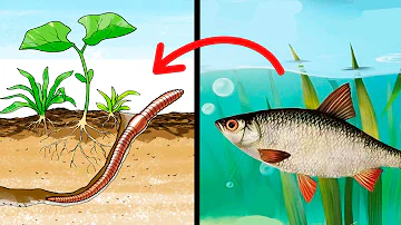 Почему рыба клюёт на червя, ведь он не водится в воде?