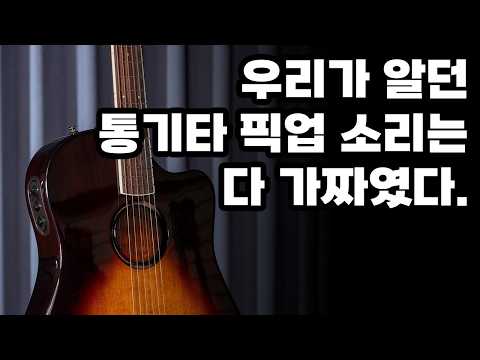 완벽한 공연용 어쿠스틱 기타란 이런 것. 엘알백스(L.R.Baggs) AEG-1