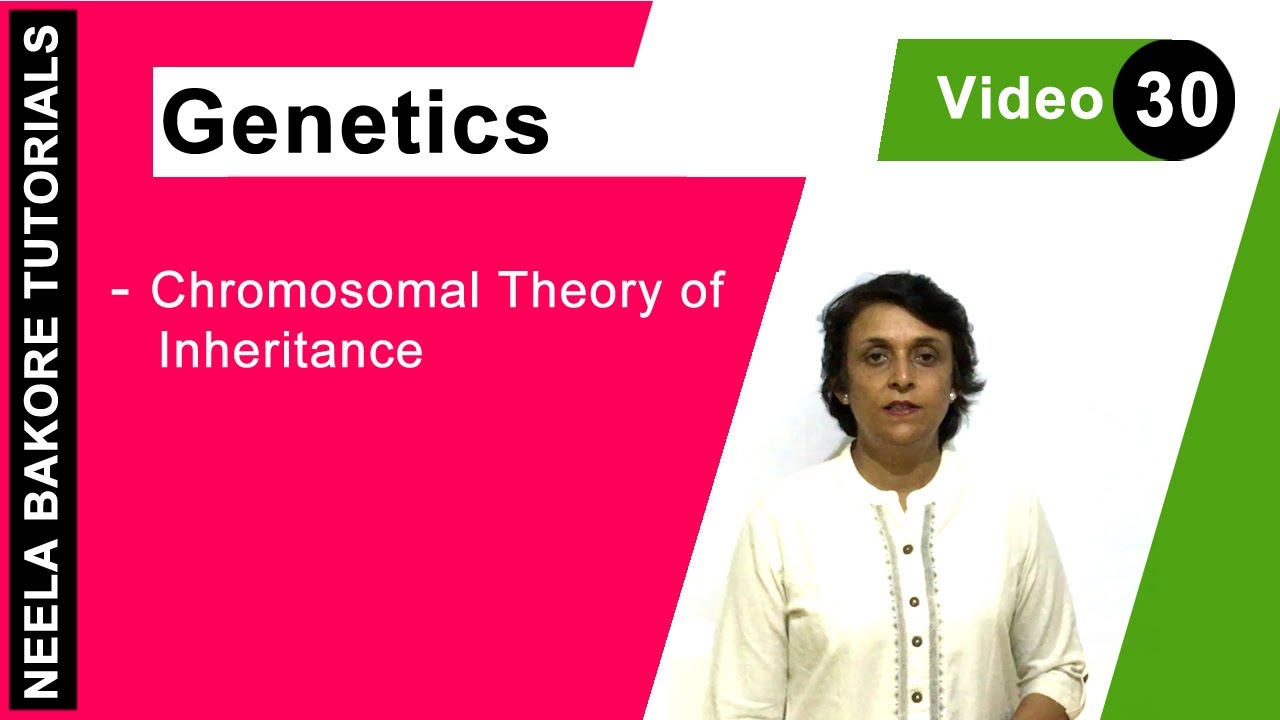 Genetics - Principles of Inheritance & Variations | NEET | Chromosomal ...