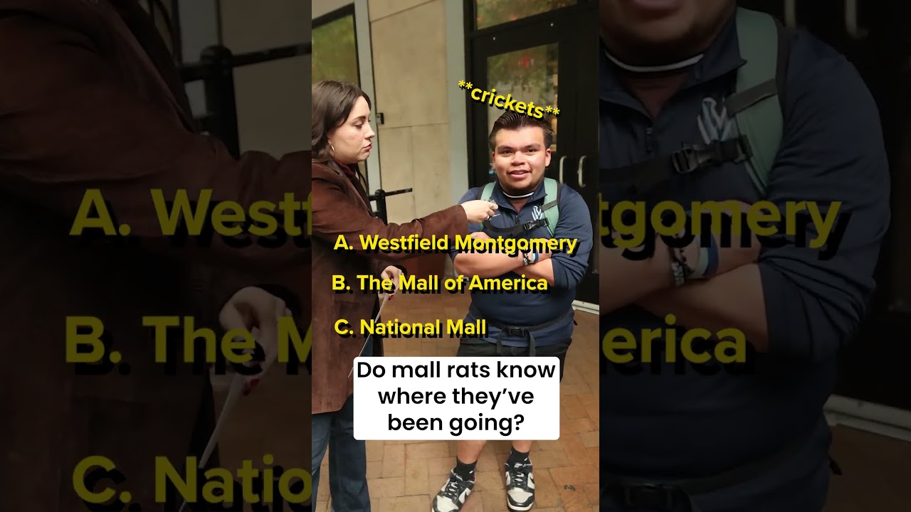 🛍️ We Asked the Mall Rats… They Delivered