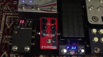 BOSS RC-3 Rehouse - Dual Footswitch & Expression