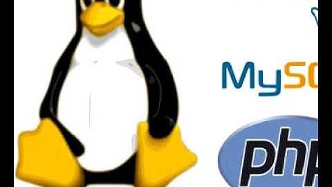 Những khái niệm cơ bản khi học lập trình php cơ bản - là gì?