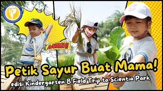 Fieldtrip to Scientia Park | Kindergarten B