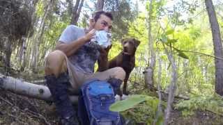 Coniferous - a tree planter story