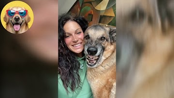 Dogs Causing CHAOS And It’s Hilarious! #47