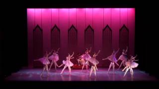 Details O QUEBRA-NOZES 2014 Guide