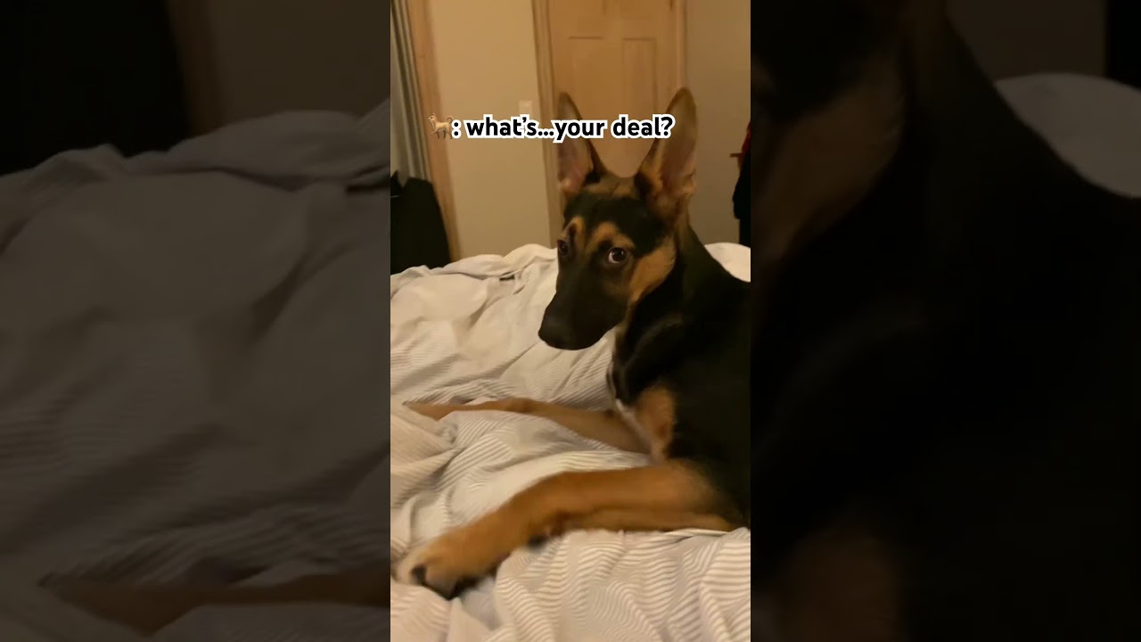 Я тебе нравлюсь? 