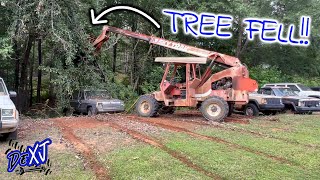 Dead Tree Falls on Two Mint Jeep Comanches: Did They Survive?