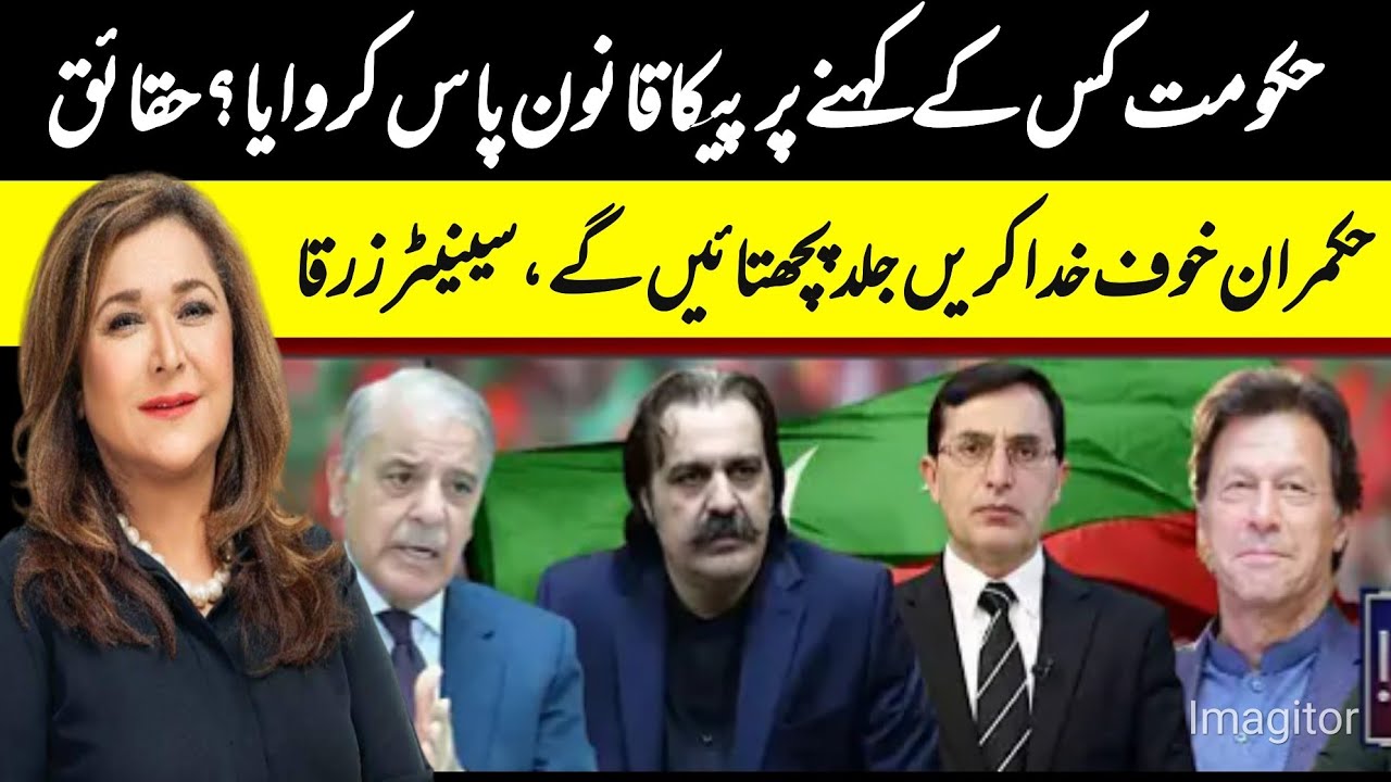 Why Media face issues? Senator Zarqa says