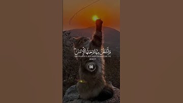 تلاوة خاشعة #اكسبلور #الجزائر #لايك #اكسبلورفولو #اكسبلورر #قرآن #السعودية #ترند #دويتو