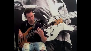 Vignette de la vidéo "Red Hot Chili Peppers - Around The Word (bass cover)"