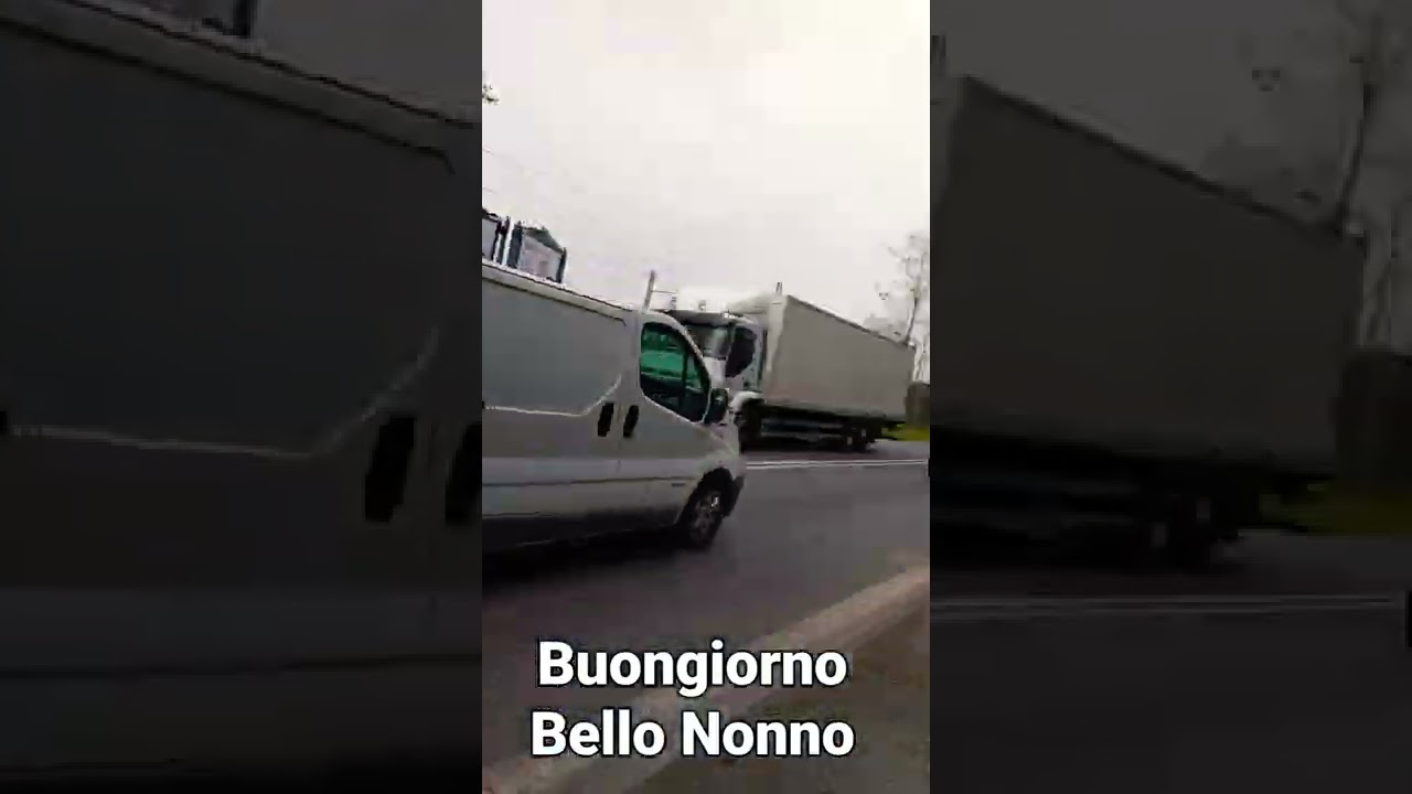 Belissima Natura Fiore a strada 
