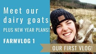 PERMACULTURE homestead SILVOPASTURE plans| FARMVLOG 1