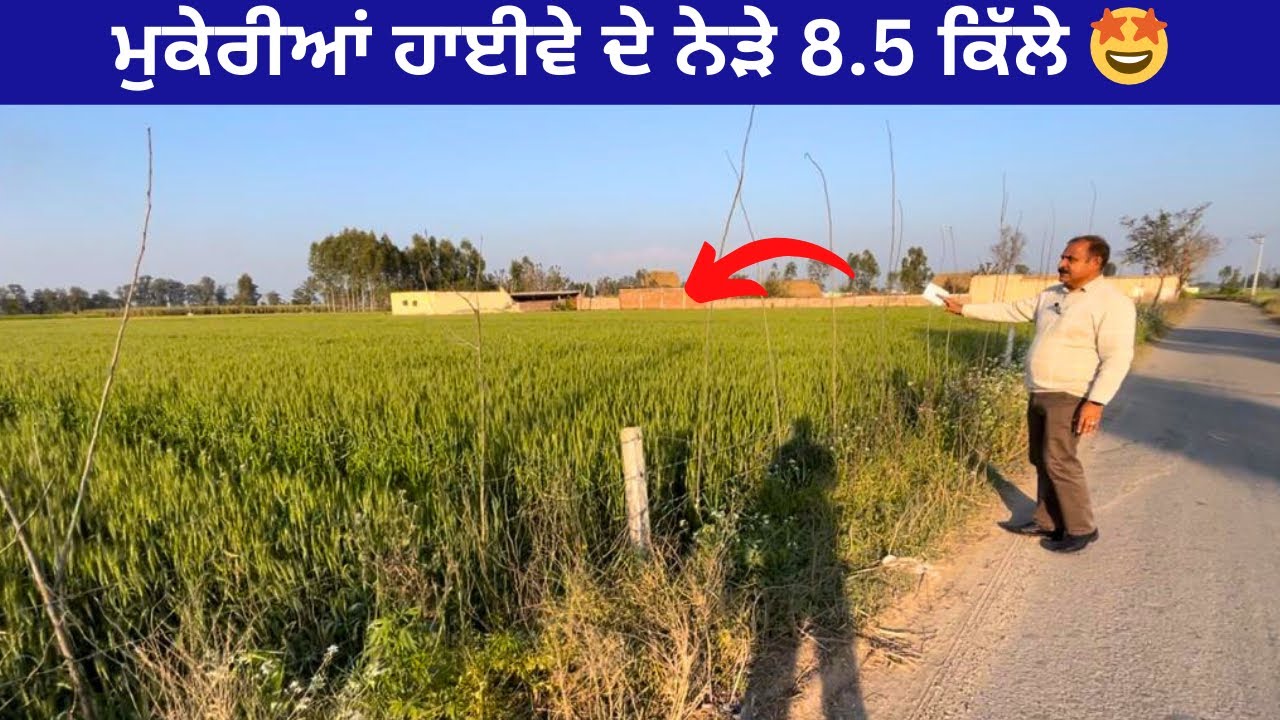 🤩 ਮੁਕੇਰੀਆਂ ਵਿੱਖੇ 8.5 ਕਿੱਲੇ ਦਾ ਟੱਕ ਵਿਕਾਉ । 8.5 acres land for sale in Mukerian.