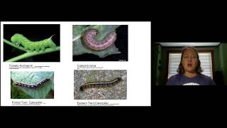 "Good Bug or Bad Bug?" for Gardeners