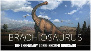 Brachiosaurus: One Of The LARGEST Animals to Ever Exist | Dinosaur Documentary by Dinosaur Discovery  18,729 views 2 months ago 19 minutes
