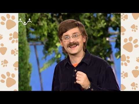 Лапы, крылья и хвосты  21 й Выпуск