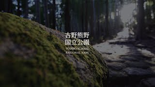 【National Park】Yoshino-Kumano National Park