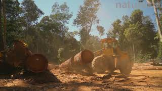 Loader stacking trees cut from the Amazon rainforest in a logging camp, Rondonia, Brazil, 2019. Net Worth