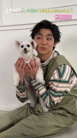 WATWING】八村倫太郎さんと愛犬ドリーちゃんが遊びにきてくれました