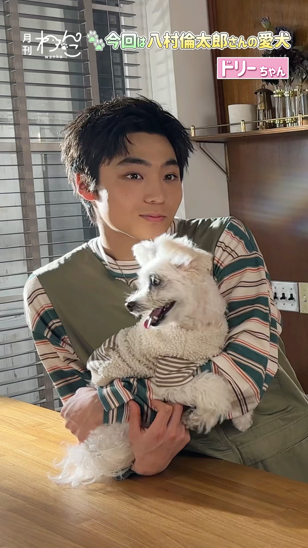 WATWING】八村倫太郎さんと愛犬ドリーちゃんが遊びにきてくれました