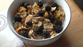 My Belfast Blackberry Breakfast Sunday 9th August 2026 Get Out There and Start Picking