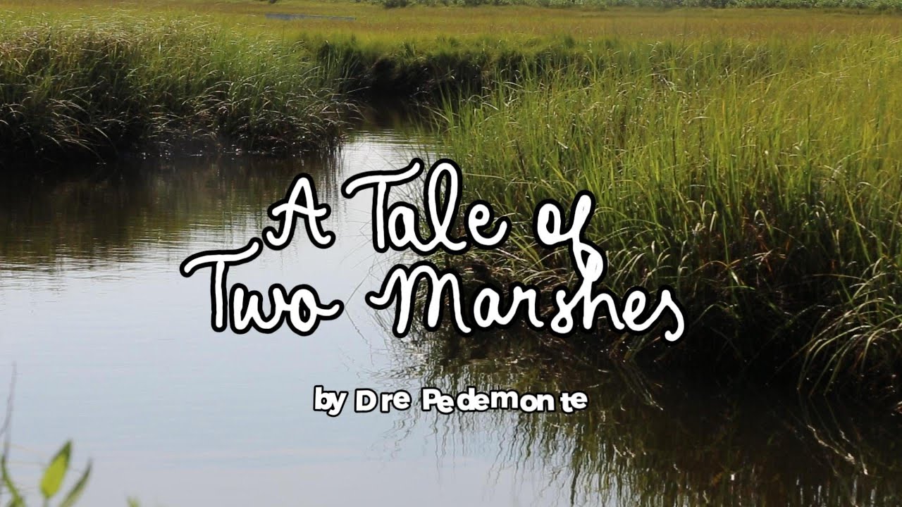 A Tale of Two Marshes
