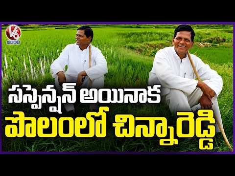 Chinna Reddy Sits In Farming Land, Reacts On Removal Of Planning Board Post | V6 News - V6NEWSTELUGU