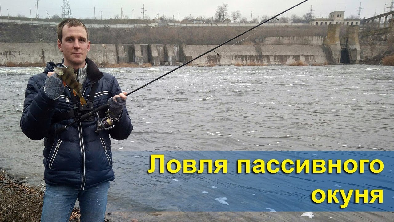 Ока белев рыбалка