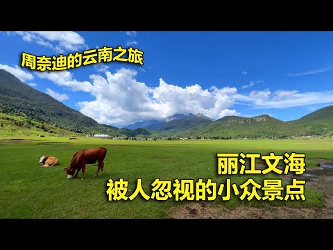 周奈迪Vlog | 在大草原上看雪山 丽江被忽视的超美小众景点 | 旅行 | 自驾游 | 云南丽江 | 文海 | 空中草原 | 玉龙雪山 | 治愈系风景 | 滇马