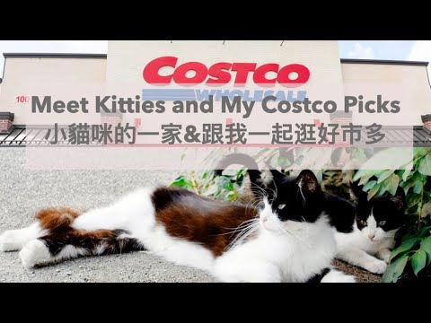 [海外生活] Meet kittens first time | Costco shop with me 2020 | 好市多買買買 | Organize freezer | Chick-fi