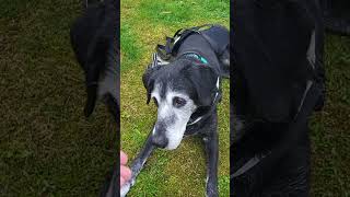 Donas Morgenrunde 15.4.26