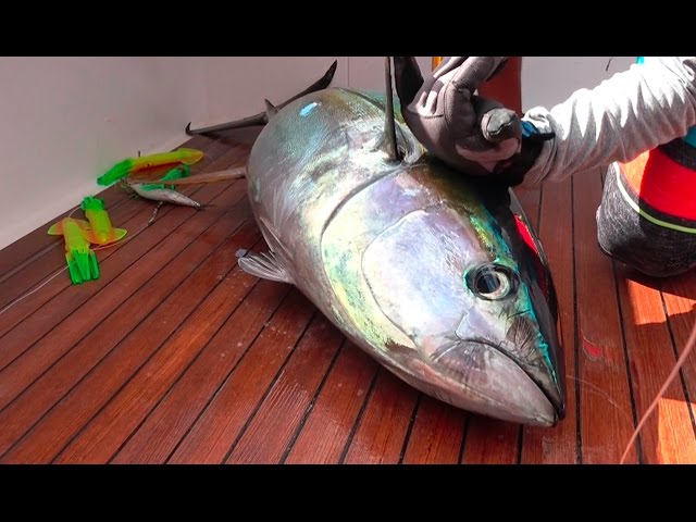 TUNA! Catch, Clean, Cook and EAT!!!! Gabriella's Quepos, Costa