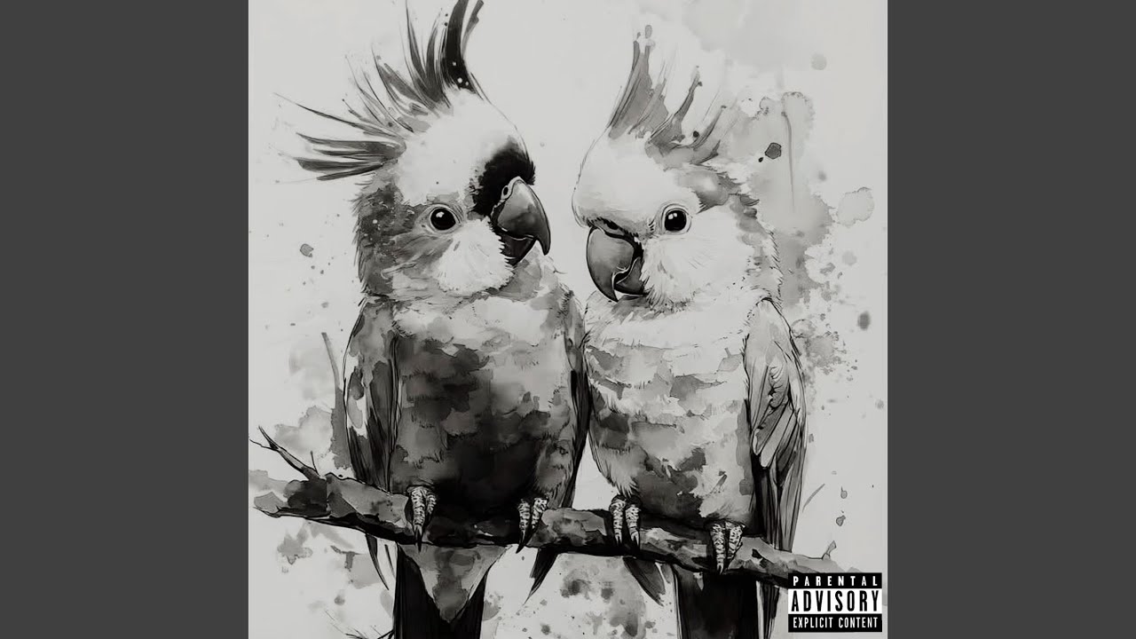 YouTube पर Parrots देखें YouTube पर Parrots देखें