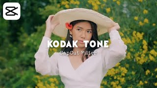 Kodak Tone CapCut Filter | capcut editing tutorial screenshot 4