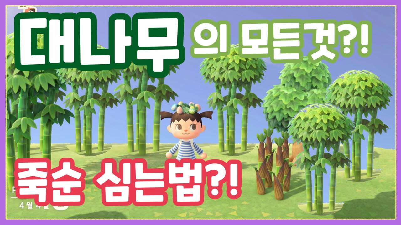 [모동숲] 대나무 얻는법! 죽숙심는법 및 대나무 DIY !!🎮🎮