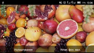 Exotic Fruits live wallpaper screenshot 5
