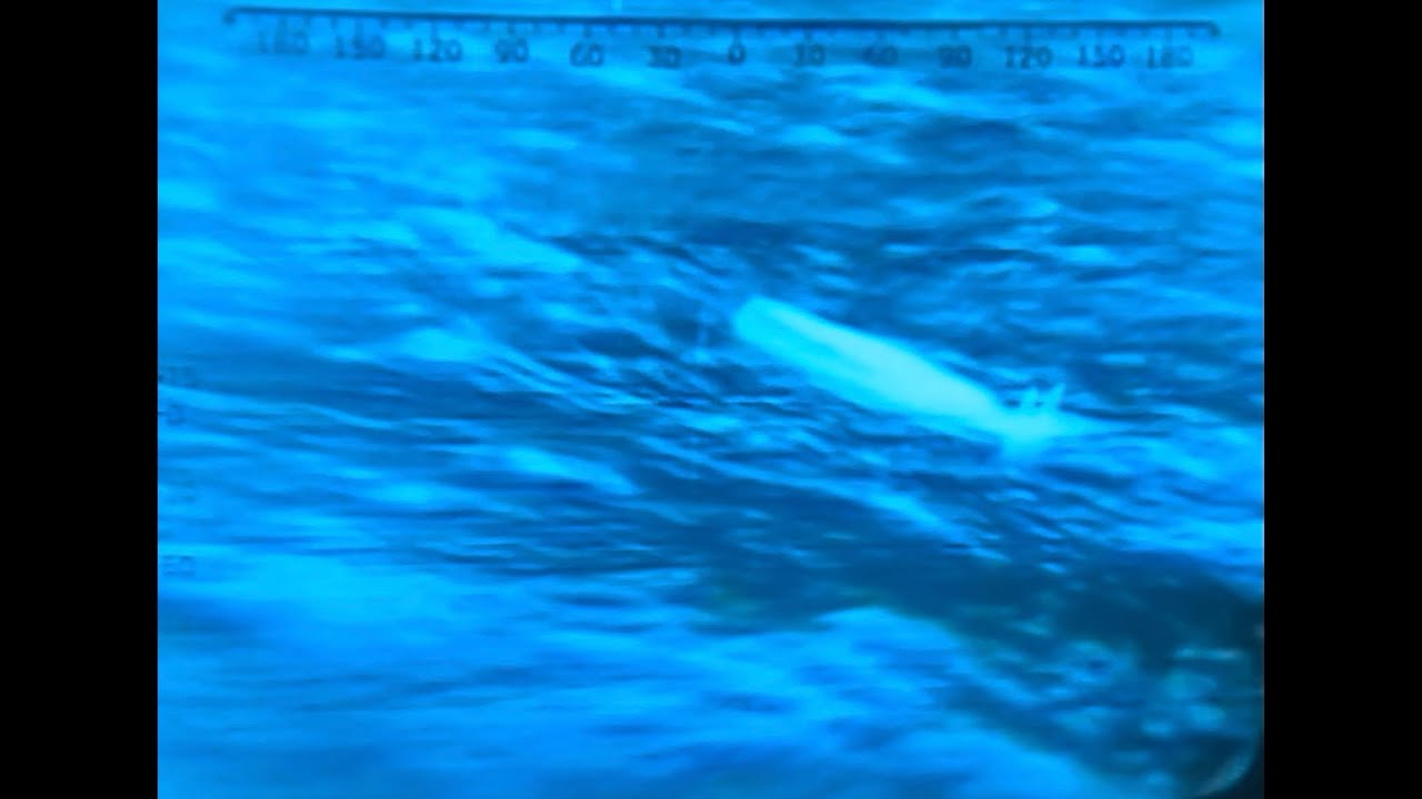 Rescue Of Thierry Dubois And Tony Bullimore