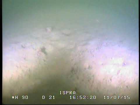 Northern Adriatic mesophotic biogenic reefs: A1_07 (don Bellemo E.)