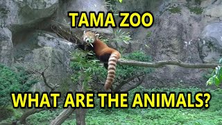 Tama Zoo Tokyo Japan (2D version) - What are the animals 多摩動物公園