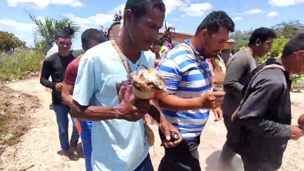 PANKARARU - PE EM PARICONHA - AL (FESTA DO MENINO NO RANCHO)